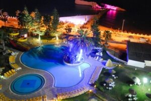 Delphin El Habib
